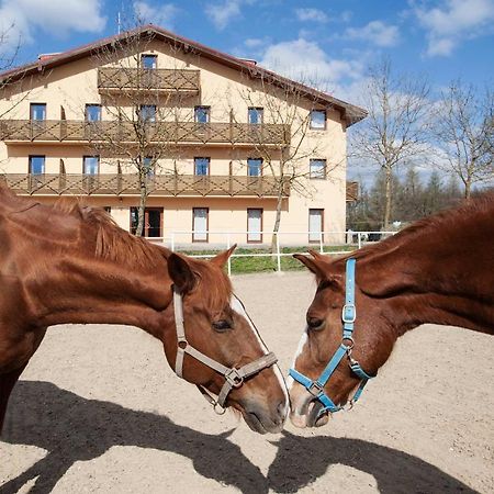 Hotel Panska Licha ブルノ エクステリア 写真