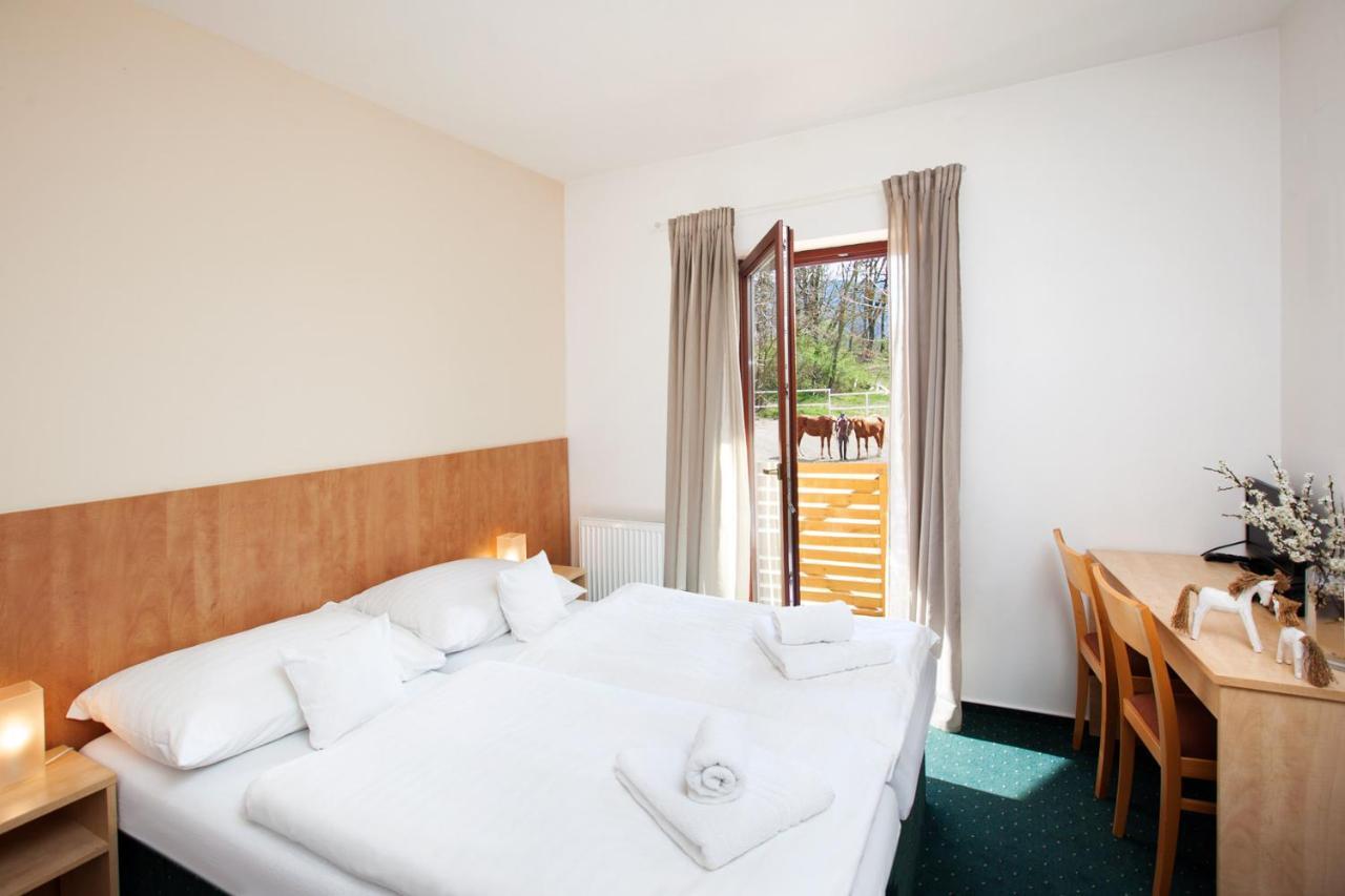 Hotel Panska Licha ブルノ エクステリア 写真