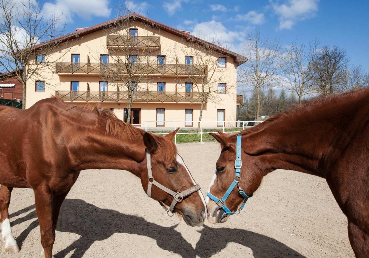Hotel Panska Licha ブルノ エクステリア 写真